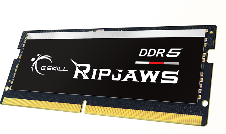 G.Skill Ripjaws F5-4800S3434A16GX1-RS - Geheugen