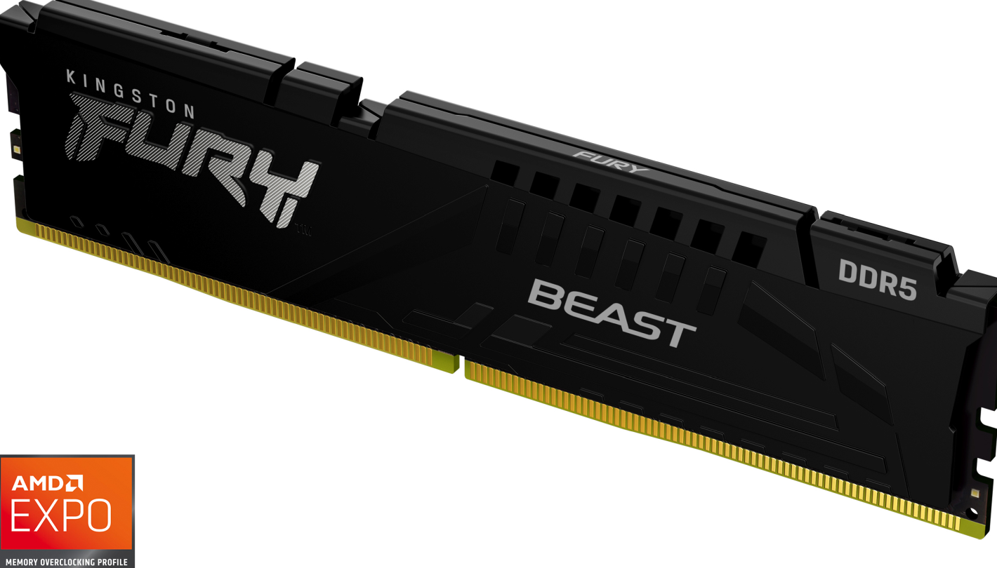 Kingston FURY Beast Black - Geheugen DDR5