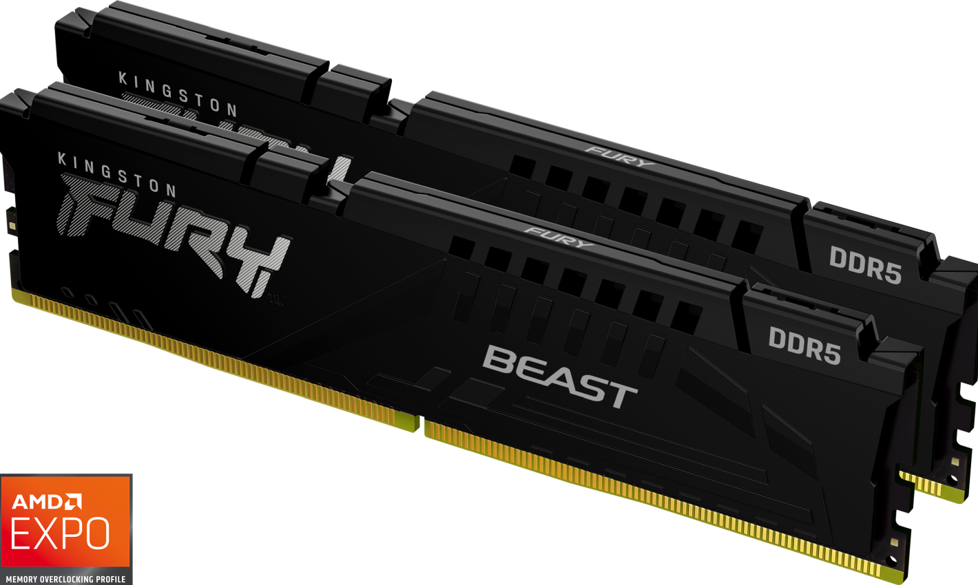 Kingston FURY Beast Black - Geheugen DDR5