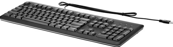 HP USB Keyboard Netherlands - Dutch