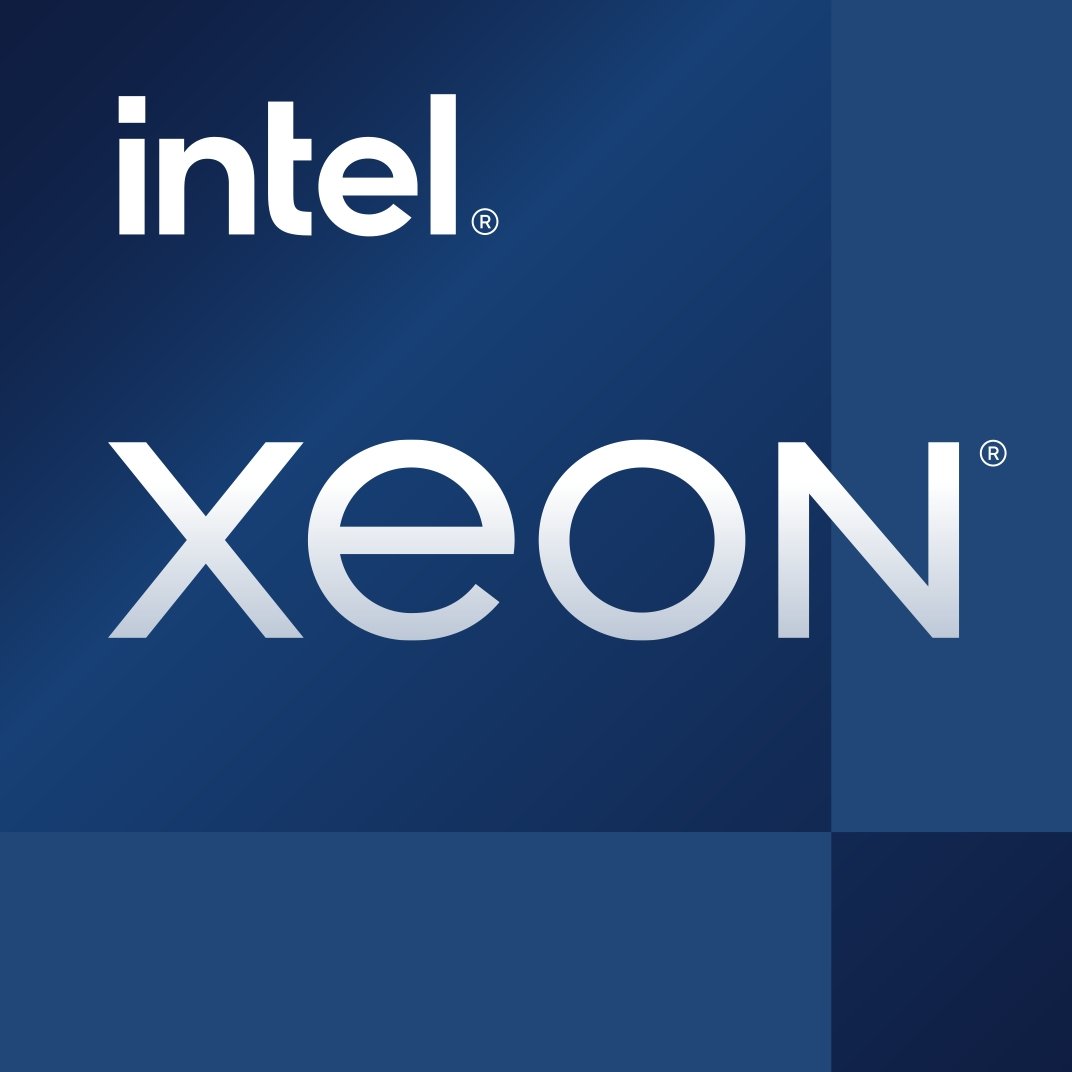 Intel Xeon E-2336 - 2.9 GHz